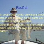 Click to view the Redfish Workshop Presentation