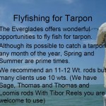 Tarpon fishing workshop information